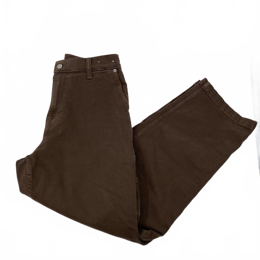 Hollister Baggy Jean | Brown Cotton Blend Men’s Regular 30